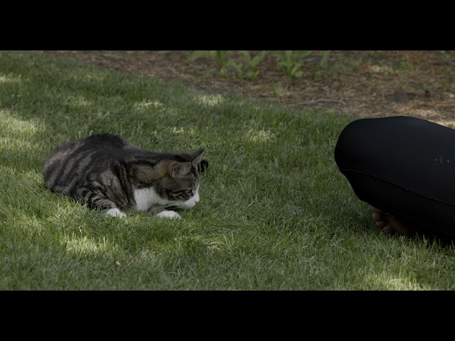 Canon R5 - 8K Footage - Mimi