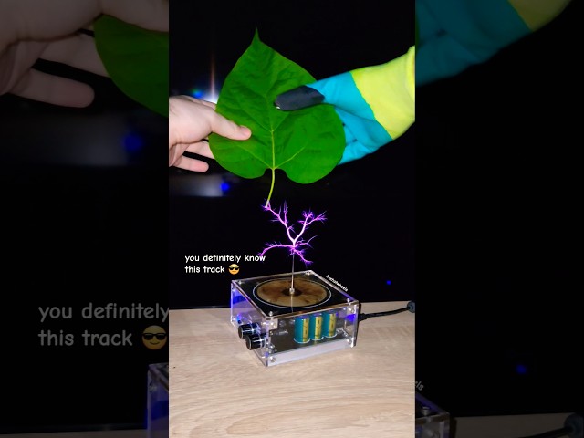 🍃 Music Tesla Coil #leaf #power #experiment #plant