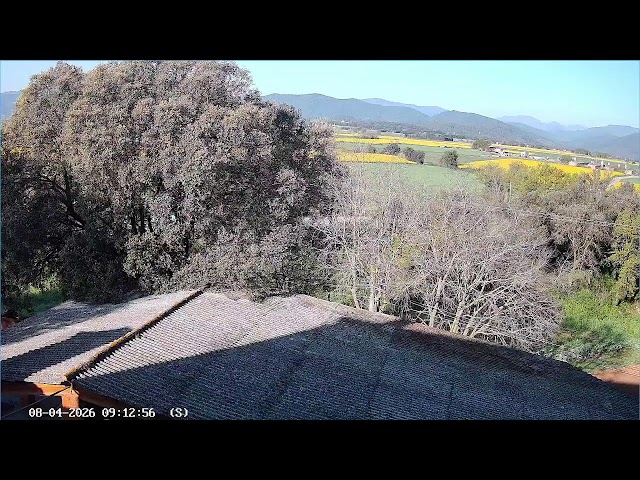 Vistas panorámicas de mi vecindario y sus montañas 🔴 DIRECTO