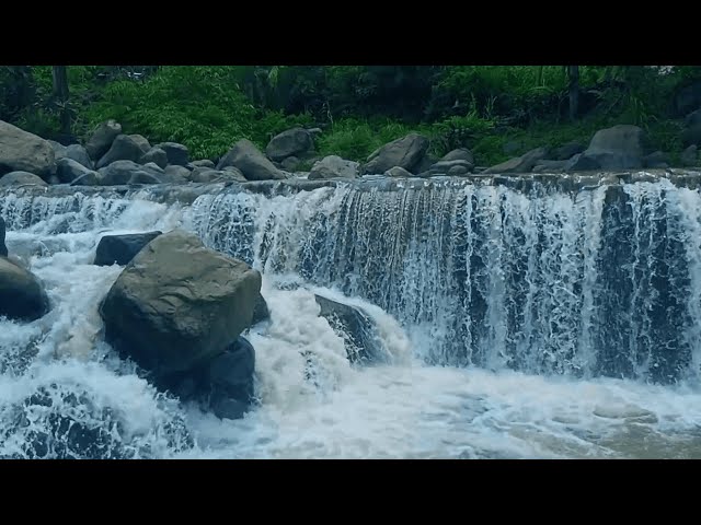 Gentle River Water Moving Through Nature – Ambient Soundscape for Studying, Sleep, and Calm