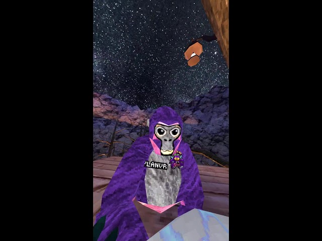 Tying on your guys’s color codes, inside of code replays in gorilla tag￼