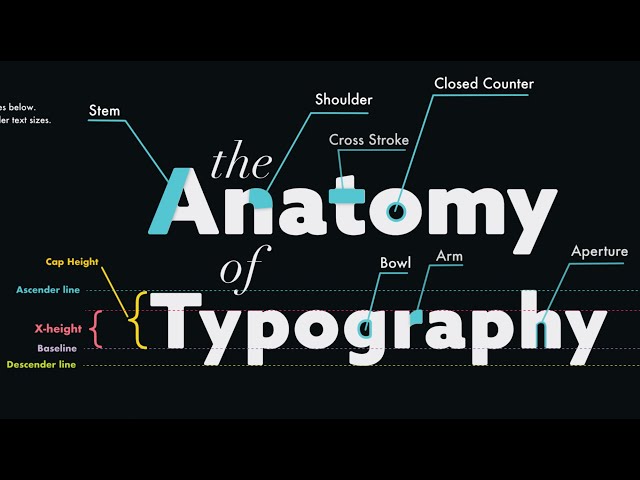 The Anatomy of Typography for Graphic Designers