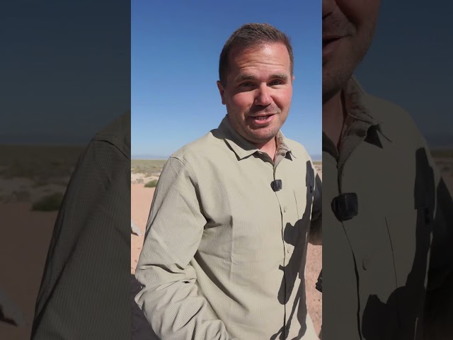 The Cheapest FULL Custom Rifle In The World