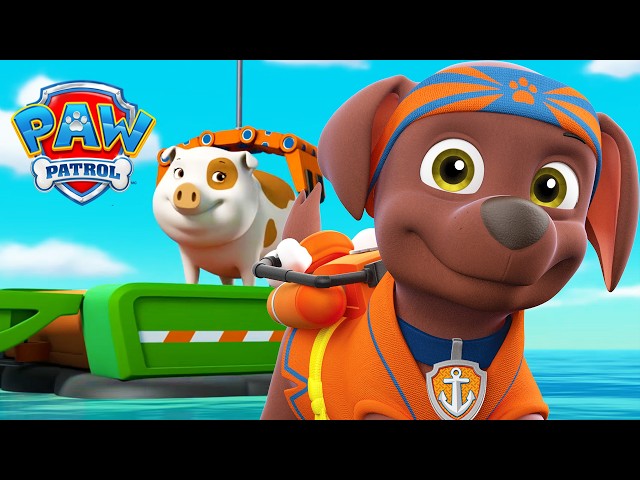 Pigs Can Surf?! 🐖🏄🏻 - PAW Patrol - Cartoons for Kids