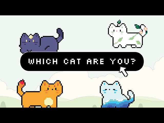 Cozy code with me | coding a personality quiz website (html, css, javascript)