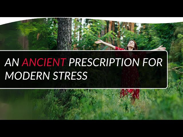 Awakening Health: An Ancient Prescription for Modern Stress | Trupti Gokani