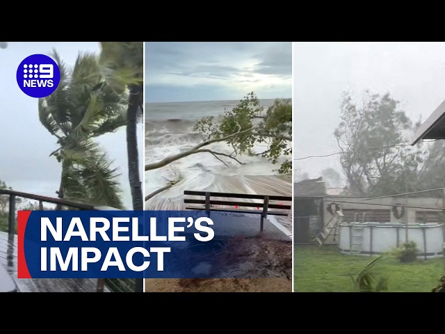 Far North Queensland battered and bruised by category four Cyclone Narelle | 9 News Australia