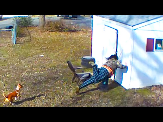 Caught in 4K! 😆 Epic Security Camera Fails Compilation