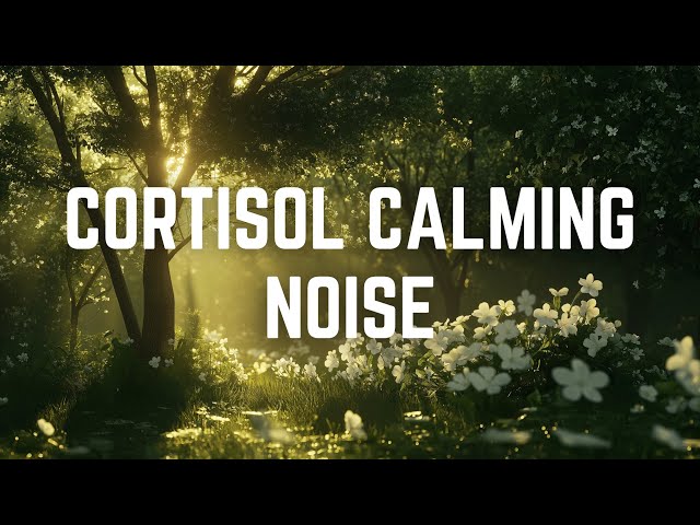 CORTISOL CALMING NOISE | 12 Hours | Black Screen | No Midway Ads | Relax/ Sleep/ Calm Anxiety/ Focus