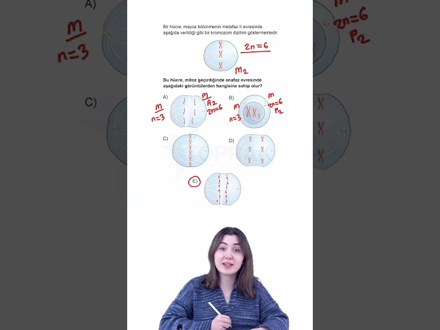 Klas Sorular / TYT Biyoloji / Hücre Bölünmesi