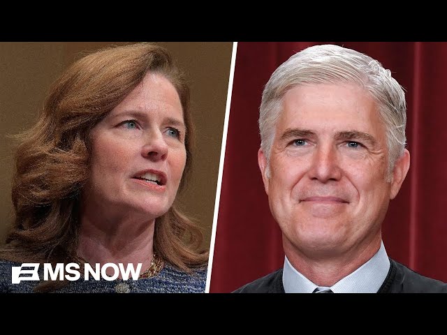 Justices Gorsuch and Barrett question U.S. Solicitor General's argument