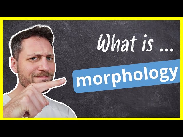 What is morphology? Easiest explanation