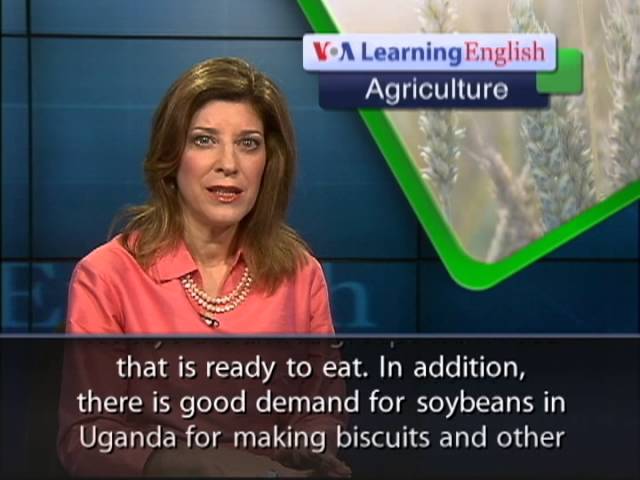 In DRC, a Solution to Crop Thefts?