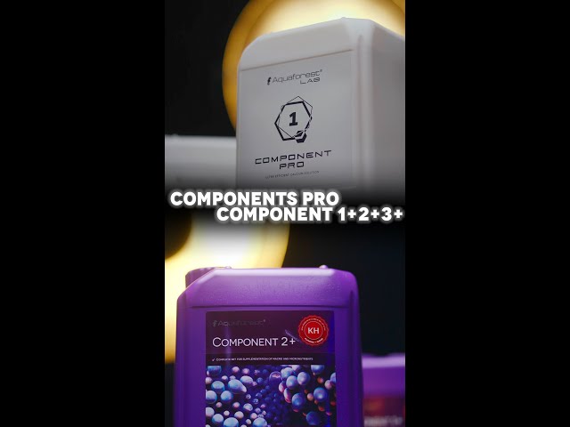 Component 1+2+3+ Component Pro