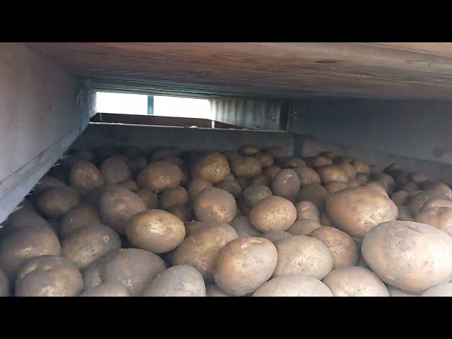 The river Orwell and bridge