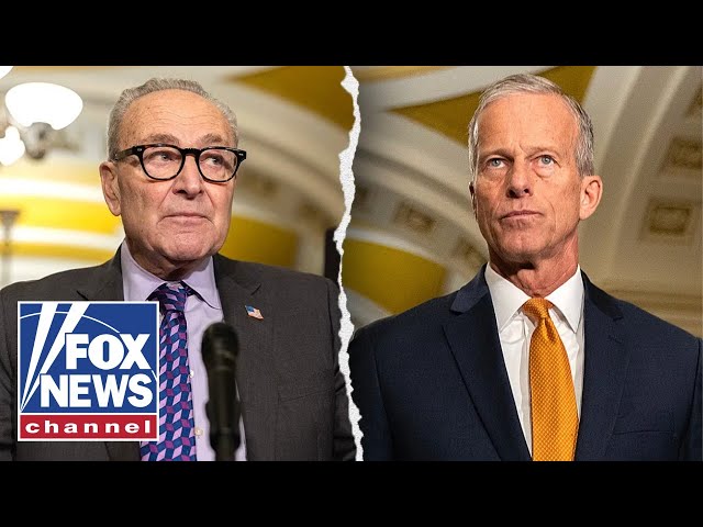 GOP rep BLASTS Dems for the 'DUMBEST' DHS shutdown: 'This is RIDICULOUS'