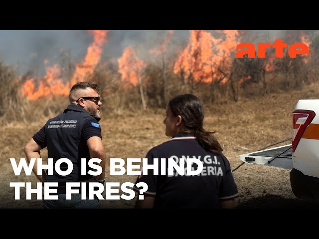 Sicily - Who Profits from Forest Fires? | ARTE.tv Documentary