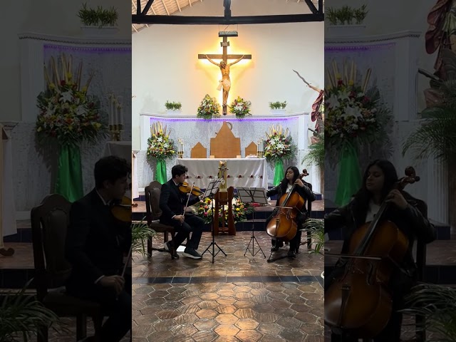 Shubert - Ave Maria Arranged by David Estupiñán | Solemnis Duo