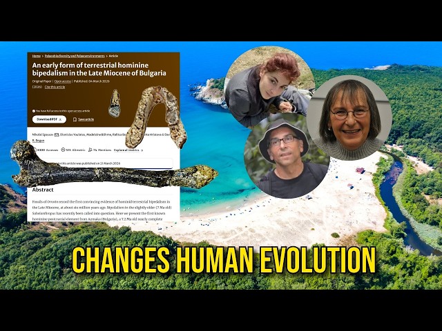 The Azmaka Fossil That Revives Graecopithecus