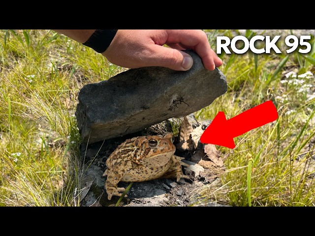 I Flipped 100 Rocks in an Abandoned Quarry Mine!