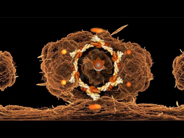 Chakra Frequencies - Sacral: Fractal VR