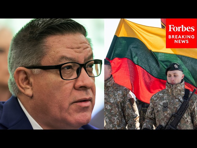 'They're At The Top Of Our NATO Allies': Carbajal Grills DoD Official On Cuts To Baltic Funding