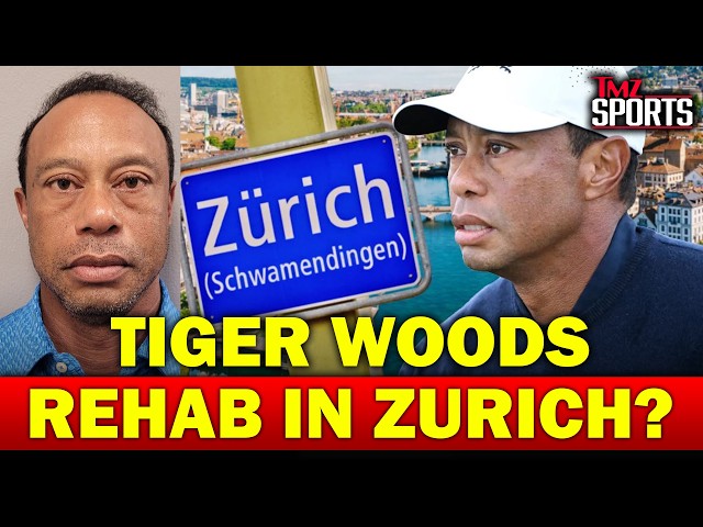 Tiger Woods' Private Plane Lands In Zurich After Vow To Get Treatment, DUI Arrest | TMZ Sports