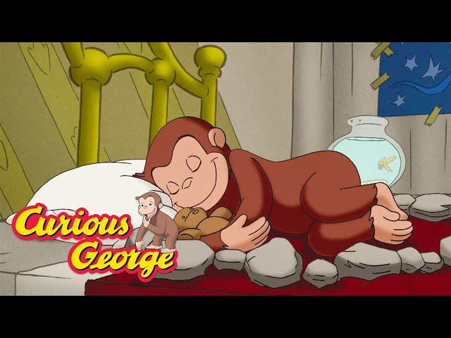Why Can't George Sleep? 🐵 Curious George 🐵 Kids Cartoon 🐵 Kids Movies