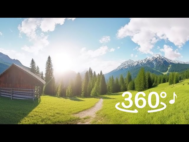 VR360 MUSIC Relaxing | Mountain country ♪