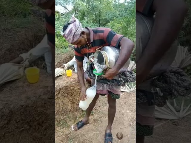 White Water (Kallu) ,palm wine,Taadi wine