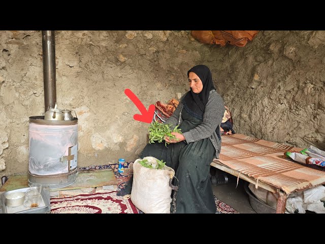 Kicked Out by Her Son, She Built a New Life Alone in the Snowy Mountains