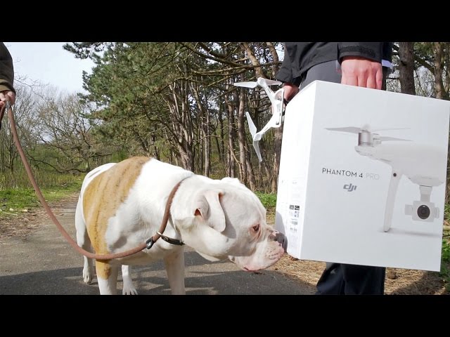DJI Phantom 4 Pro videoreview