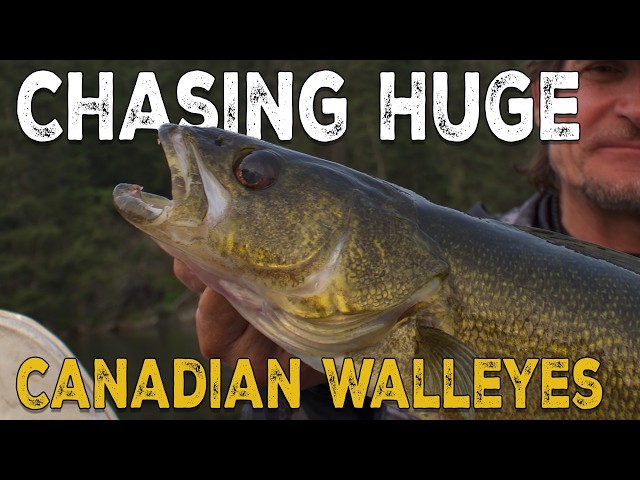 Unreal Multi-Species Fishing in Northwest Ontario