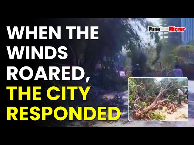 When the Winds Roared, the City Responded