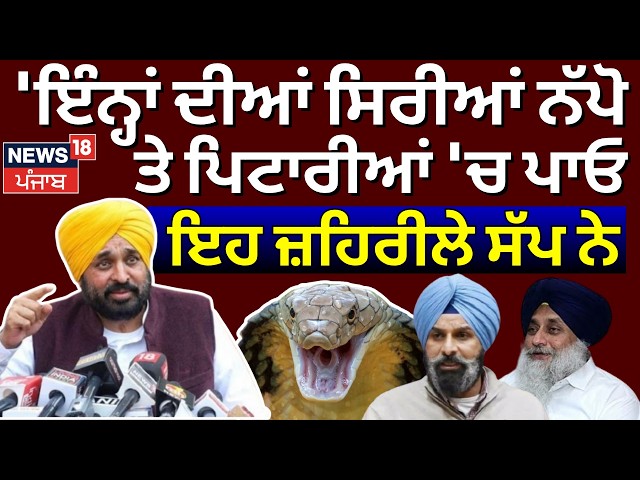 Live | CM Mann : 'ਇੰਨ੍ਹਾਂ ਦੀਆਂ ਸਿਰੀਆਂ ਨੱਪੋ ਤੇ ਪਿਟਾਰੀਆਂ 'ਚ ਪਾਓ, ਇਹ ਜ਼ਹਿਰੀਲੇ ਸੱਪ ਨੇ' | Sukhbir Badal