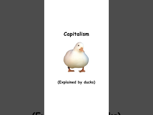 Capitalism (explained by ducks)