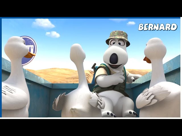 Waiting for the bus | Bernard | 140' Compilation