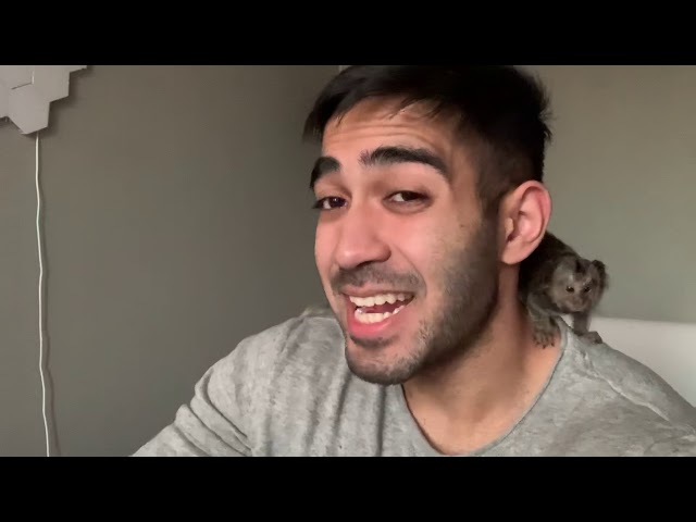 LIVING WITH A MONKEY | PET MARMOSET MONKEY