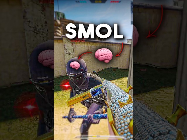 Average Melee Bots in CODM 🧠🚫