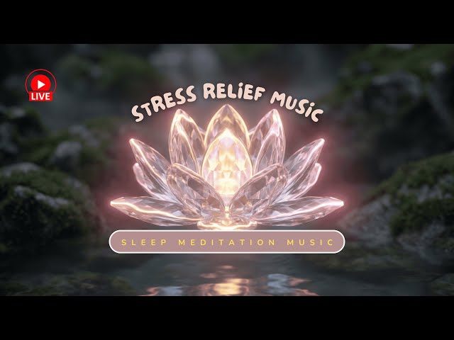 24_7 Live 🔴 Mindfulness Music | Stress Relief After A Long Day