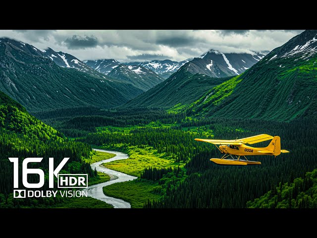 Incredible Dolby Vision 16K Video ULTRA HD - 16K HDR #hdr #16kvideo