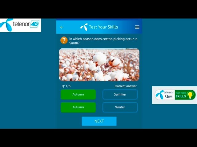 4 November 2025 telenor questions and answers|telenor today questions|test your skills