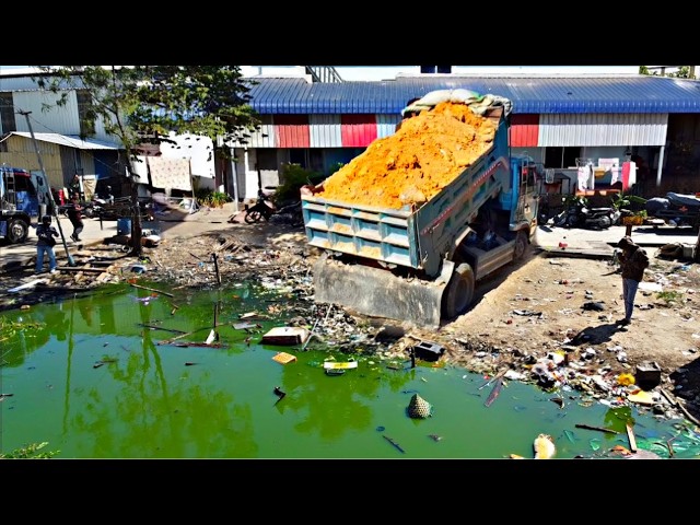 Amazing Start New Project!! Dump Truck Unloading soil Delete Garbage With Komat'su D20P Dozer