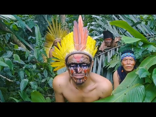 Yawarani: A VR Film Made With Indigenous Creators: breathtaking experience in the Amazon rainforest