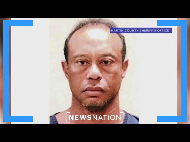 Geragos says Woods arrest video shows no impairment | CUOMO