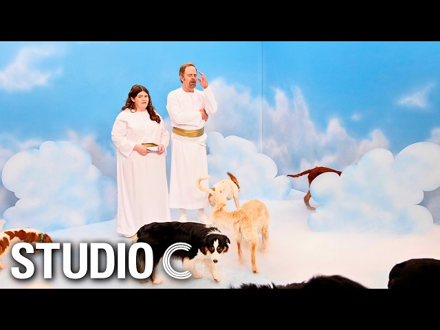 Too Many Dogs in Heaven (ft. Rainn Wilson) - Studio C