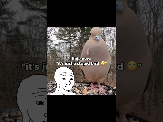 Such a nostalgic sound… #nostalgia