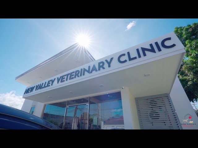 New Valley Veterinary Clinic Tour