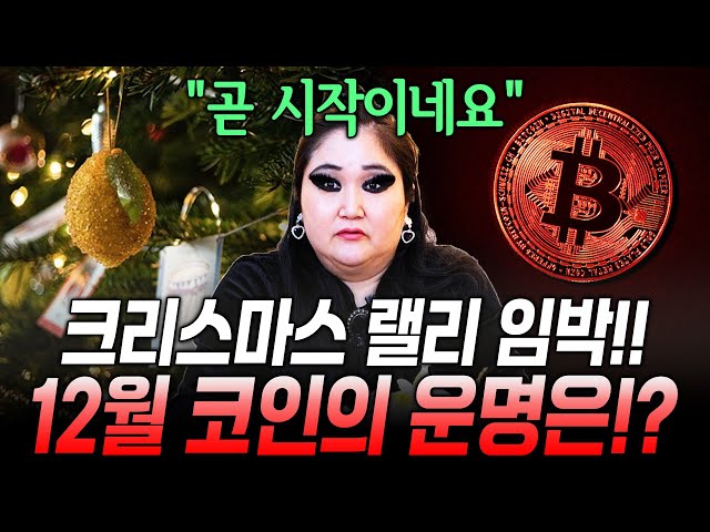 크리스마스 랠리 임박!! 과연 12월 코인의 운명은?! / 촬영일자 2025.12.16