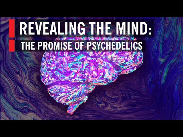 Revealing the Mind: The Promise of Psychedelics | World Science Festival